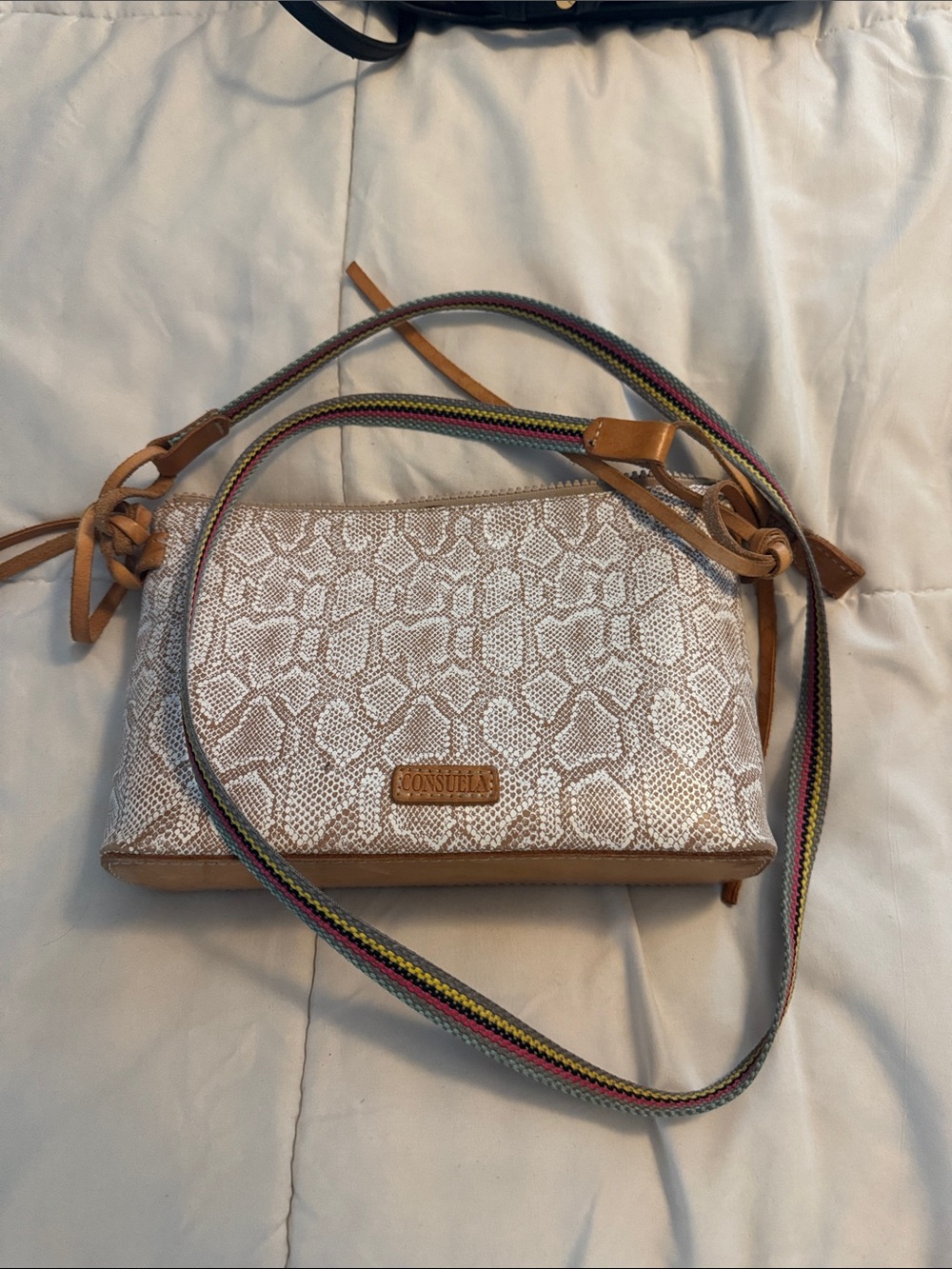 Consuela Cream Snake-Print Crossbody with Multicolor Woven Strap